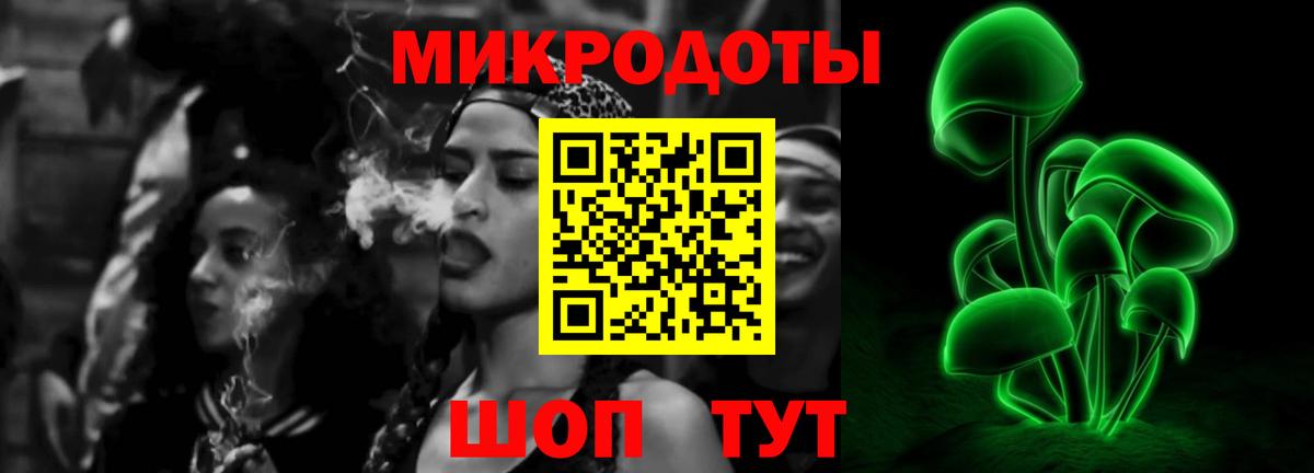 Псилоцибиновые грибы Psilocybine cubensis Димитровград