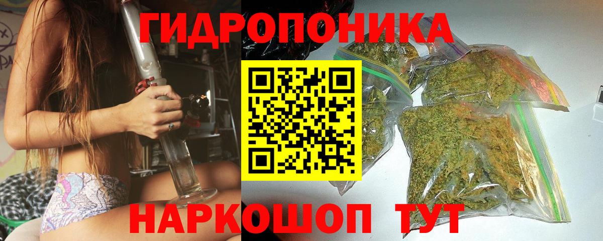 Каннабис план  Вход с VPN  Конопля конопля  Бошки марихуана MAZAR  Конопля гибрид  Димитровград 